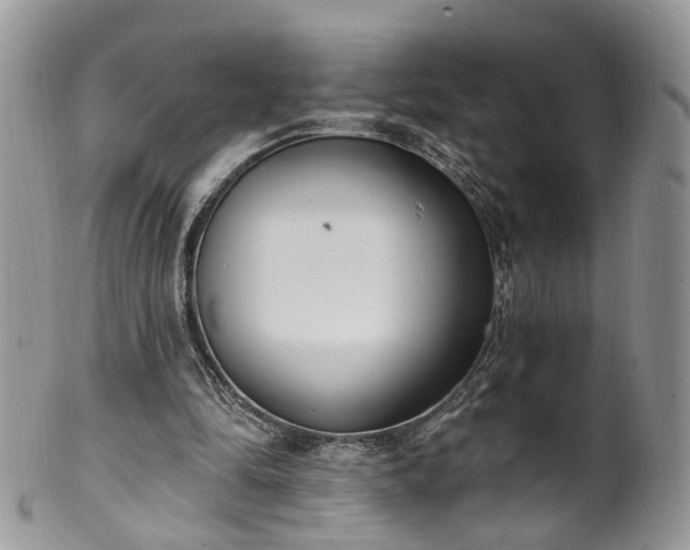 X0000100410294200806131042