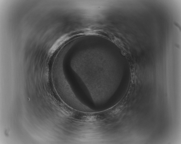 X0000100410295200806131042