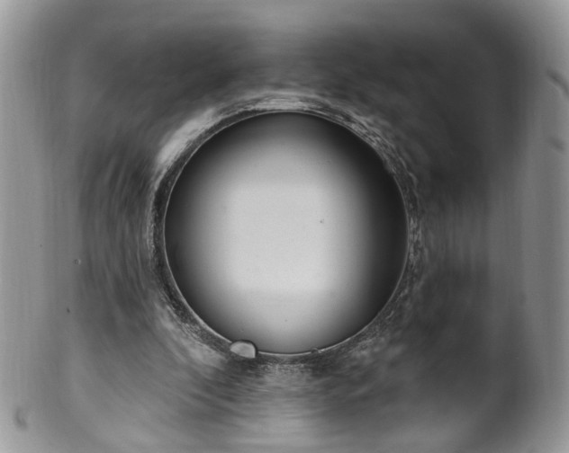 X0000100410296200806131042