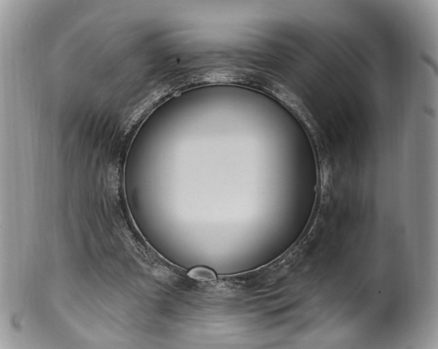 X0000100410297200806131042