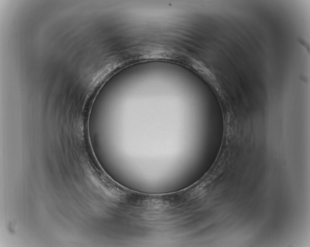 X0000100410298200806131042