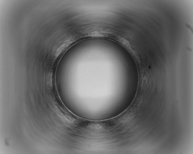 X0000100410299200806131042