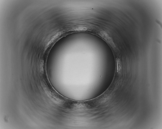 X0000100410300200806131042