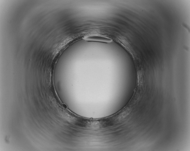 X0000100410301200806131042