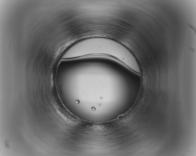 X0000100410302200806131042