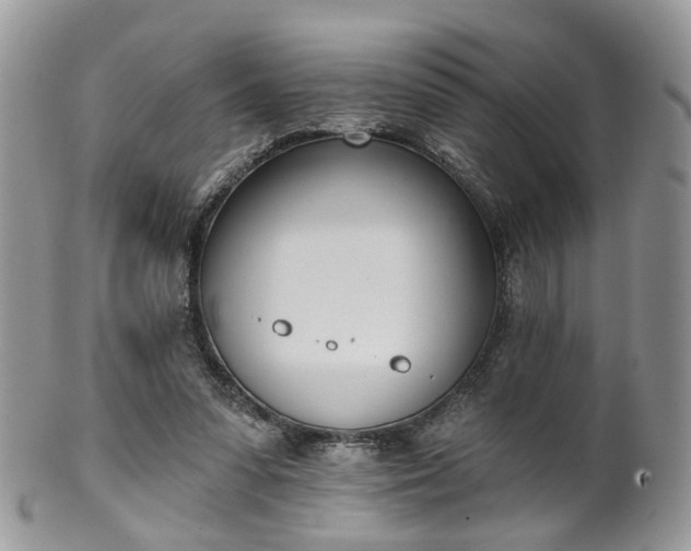 X0000100410303200806131042