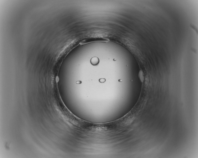 X0000100410304200806131042