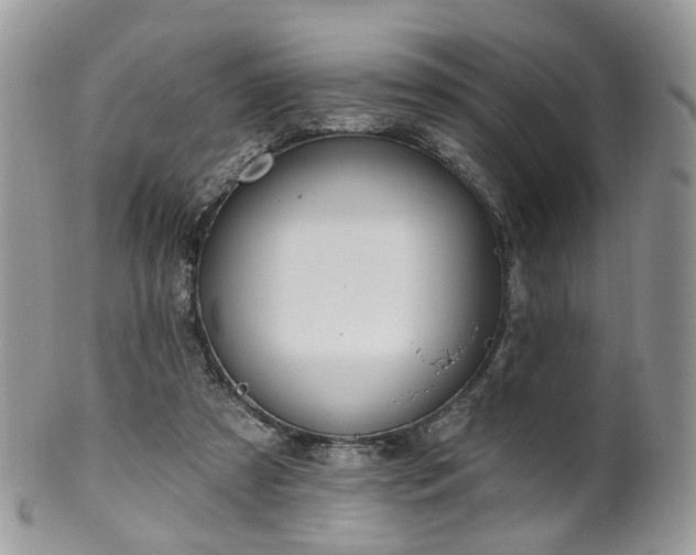 X0000100410305200806131042