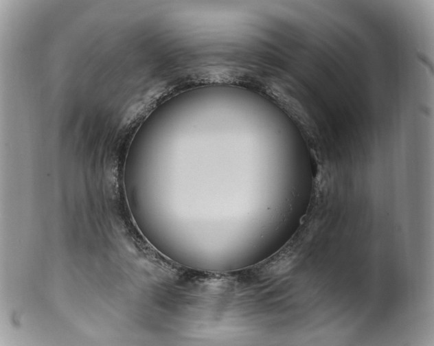 X0000100410306200806131042