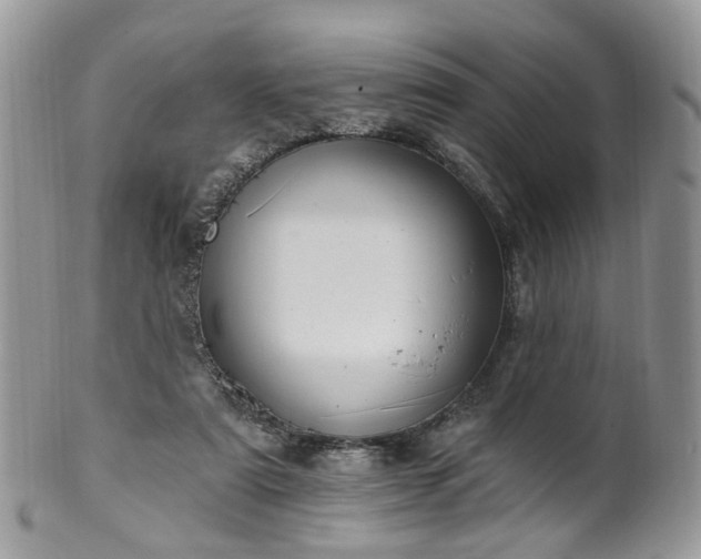 X0000100410307200806131042