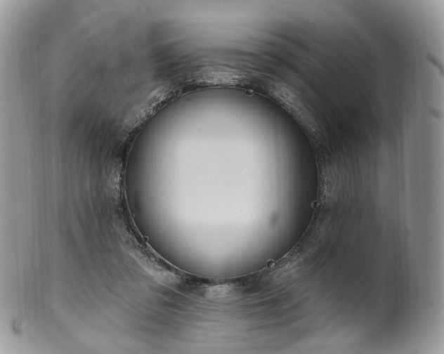 X0000100410309200806131042