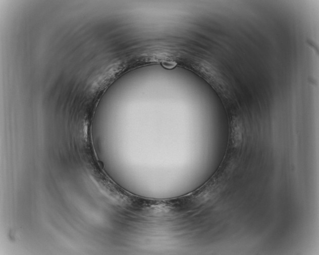 X0000100410310200806131042