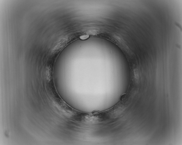 X0000100410311200806131042