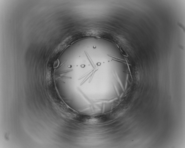 X0000100410312200806131042