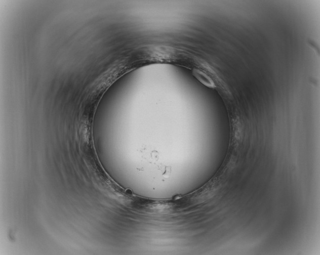 X0000100410313200806131042