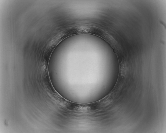 X0000100410314200806131042