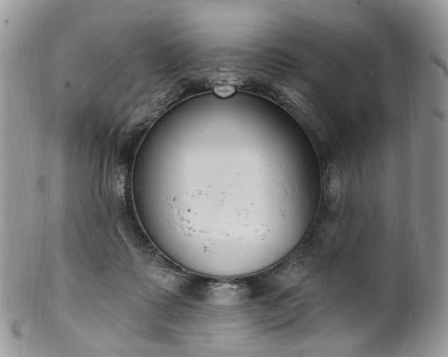 X0000100410315200806131042