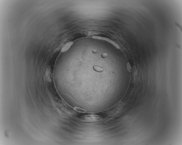 X0000100410316200806131042