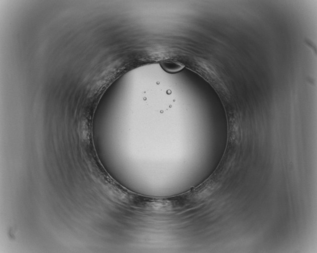 X0000100410317200806131042