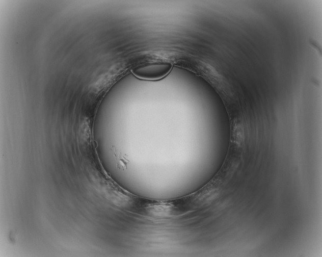 X0000100410318200806131042