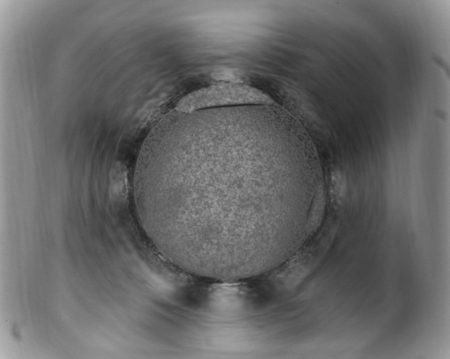 X0000100410320200806131042