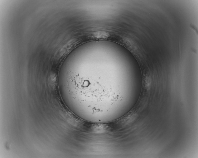 X0000100410321200806131042