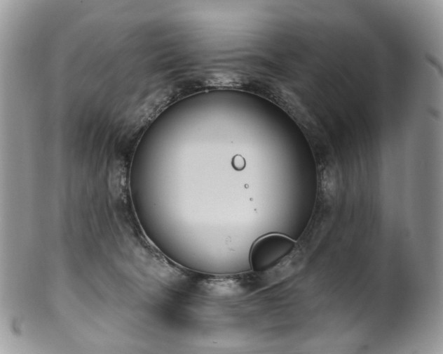 X0000100410322200806131042