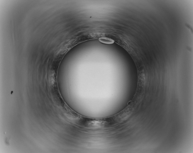 X0000100410323200806131042