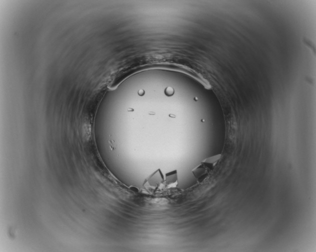 X0000100410324200806131042
