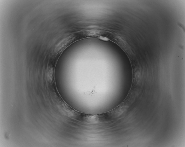 X0000100410325200806131042