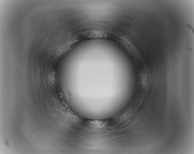 X0000100410326200806131042