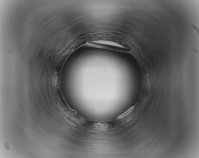 X0000100410328200806131042