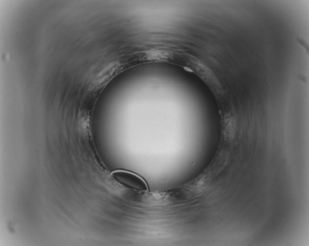 X0000100410329200806131041