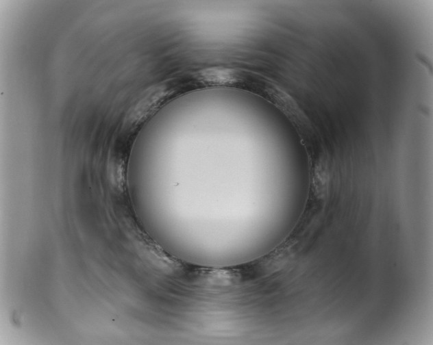 X0000100410330200806131041