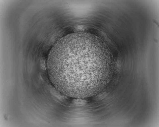 X0000100410331200806131041