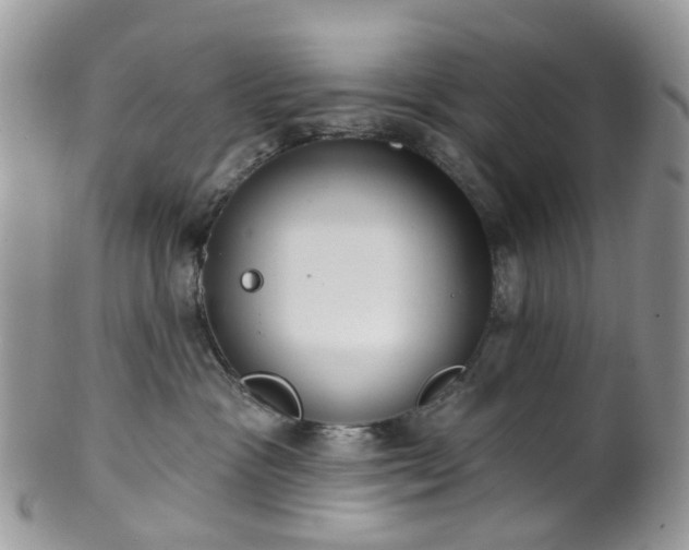 X0000100410333200806131041