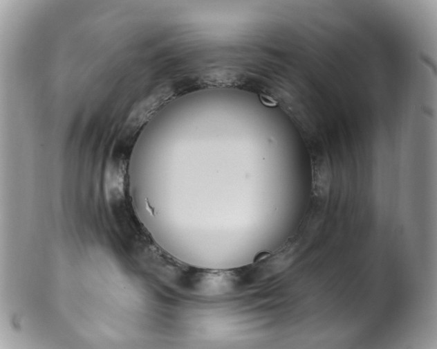 X0000100410334200806131041