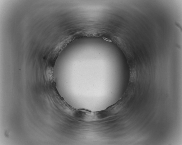 X0000100410335200806131041