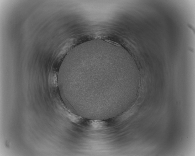 X0000100410336200806131041