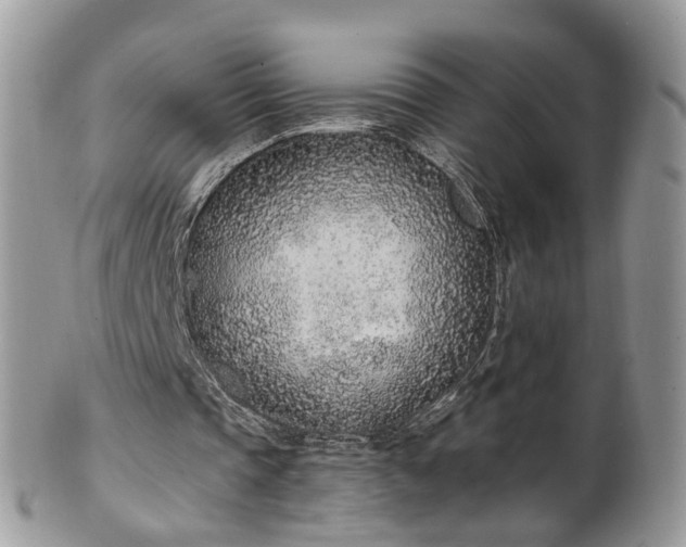 X0000100410337200806131041