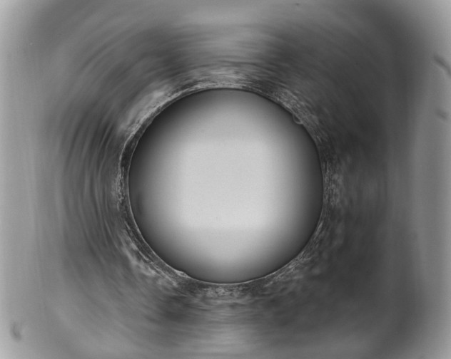 X0000100410338200806131041