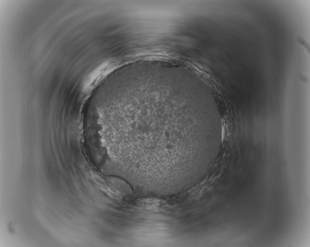 X0000100410339200806131041