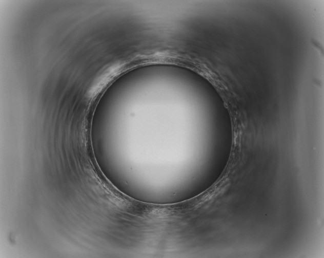 X0000100410341200806131041