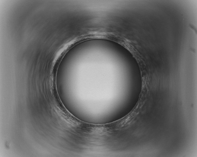 X0000100410342200806131041