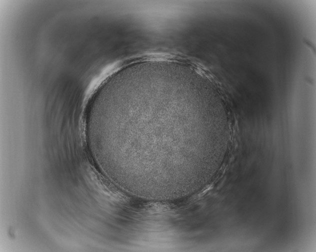 X0000100410343200806131041