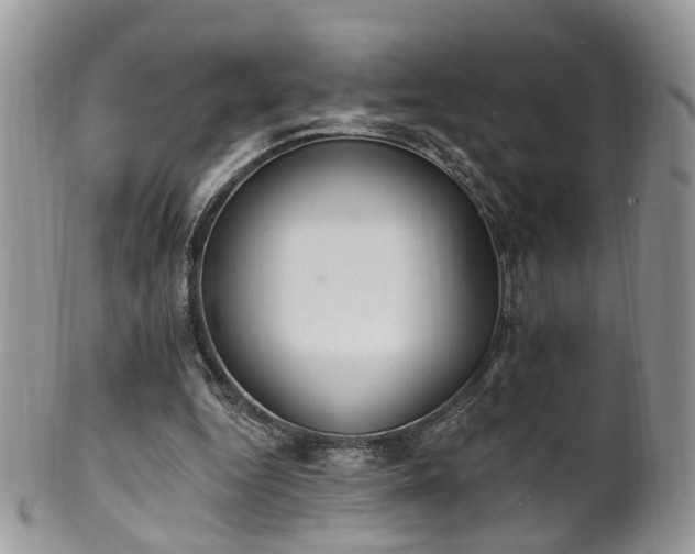 X0000100410344200806131041