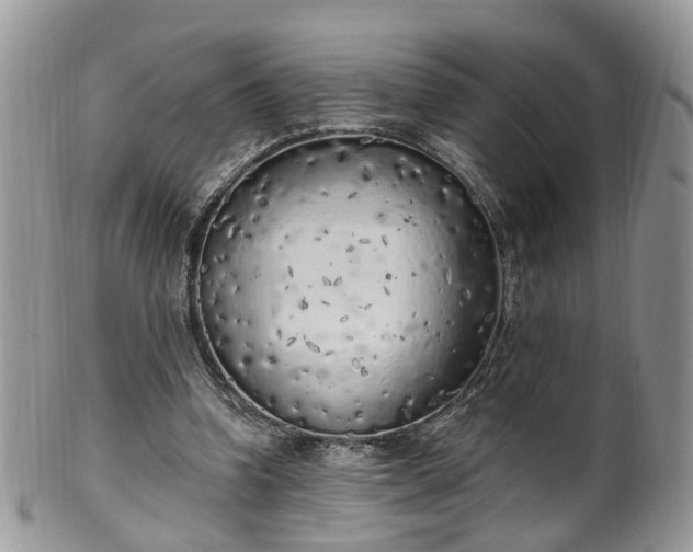 X0000100410346200806131041