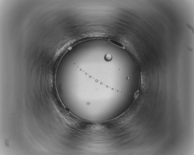 X0000100410348200806131041