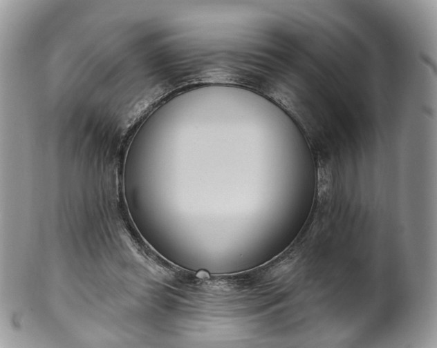 X0000100410349200806131041