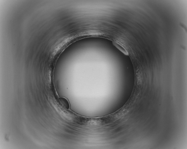 X0000100410350200806131041